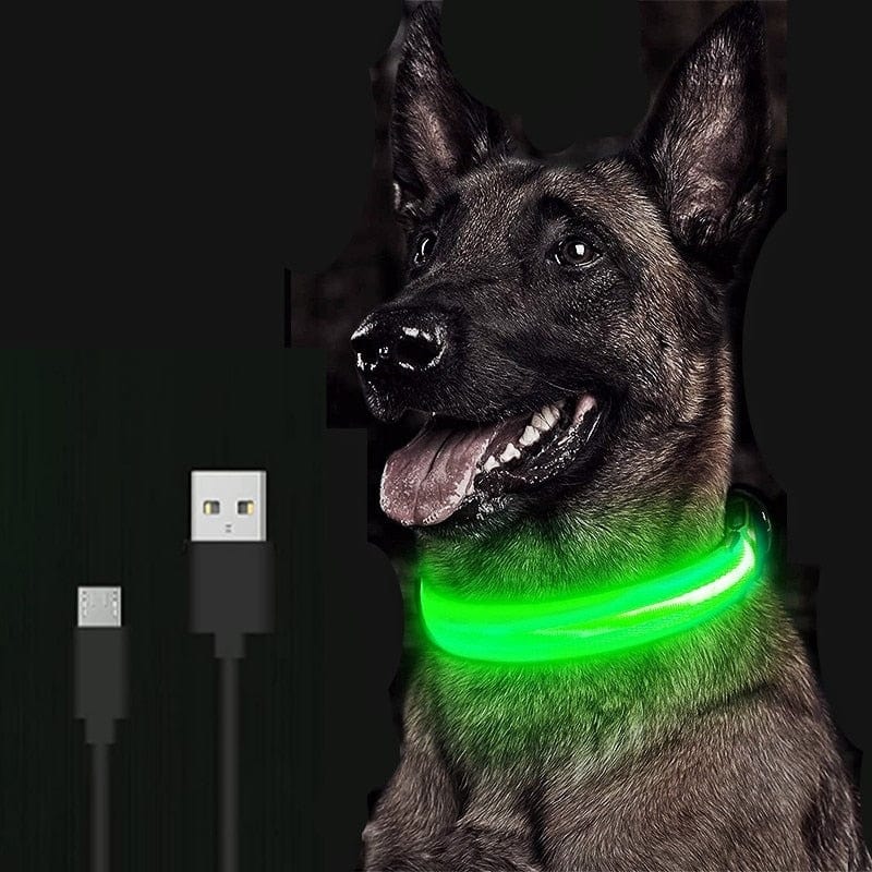 GlowGuard: The Ultimate LED Dog Collar for Nighttime Safety